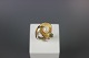 14 carat gold ring with freshwater pearl. 5000 m2 showroom.